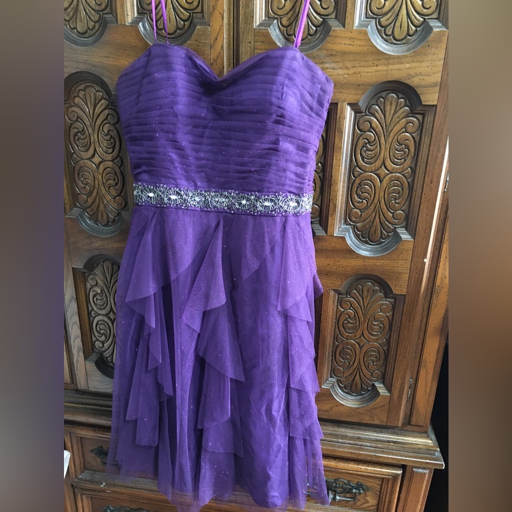 Purple Glitter ✨Sparkly Dress